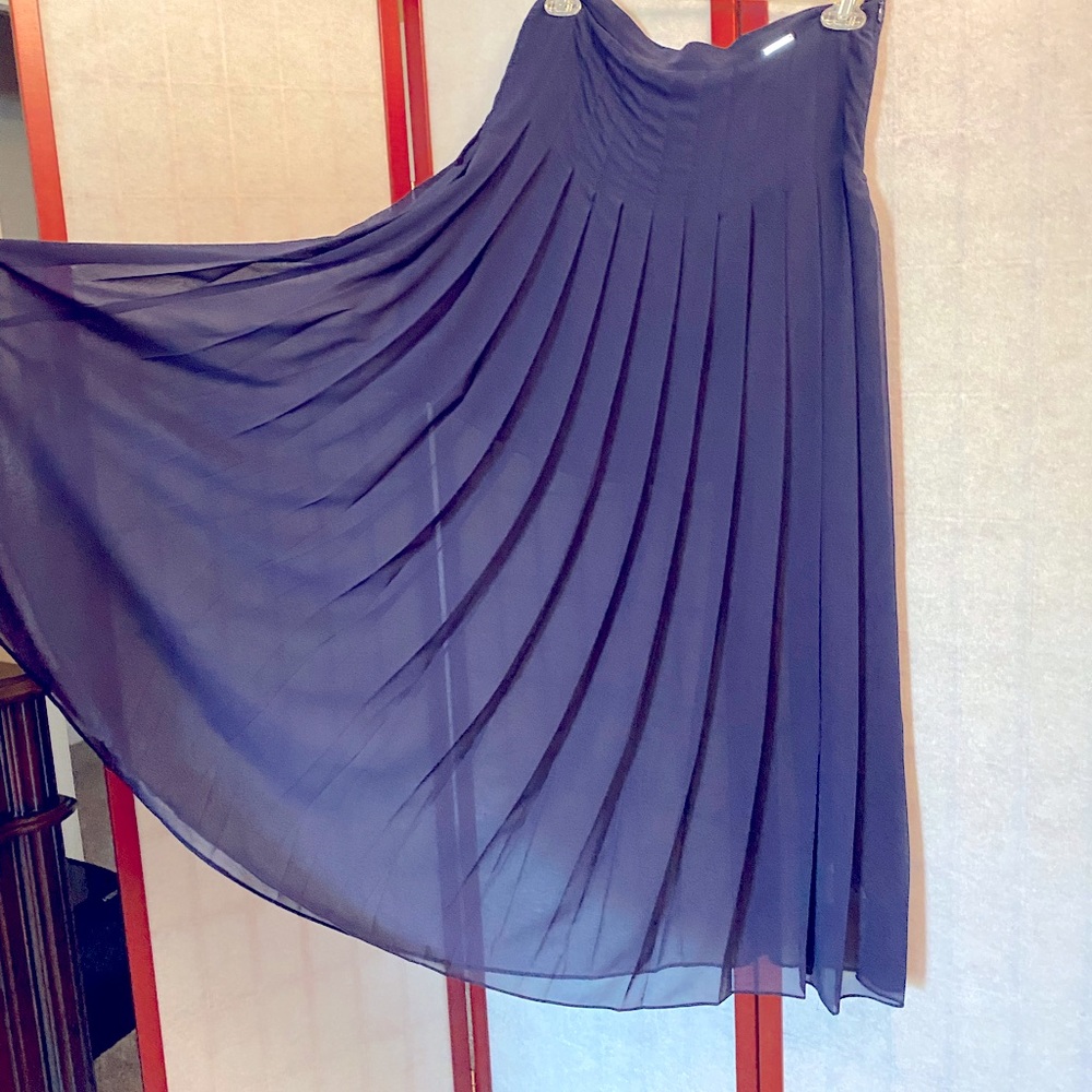 Beautiful sheer skirt